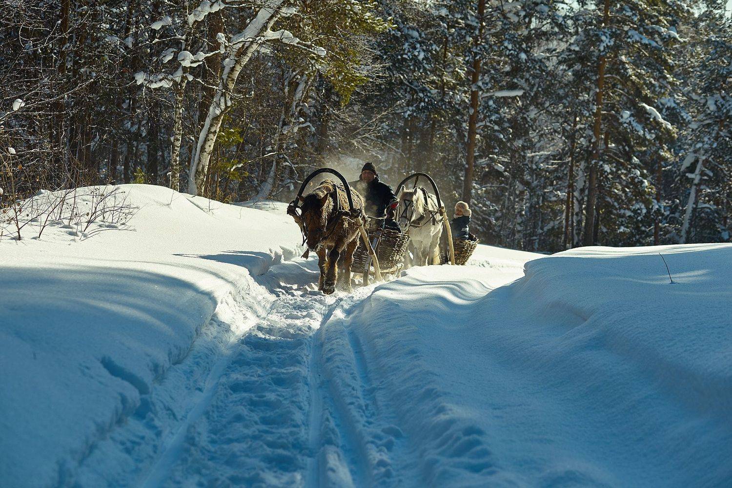 , Усманов Рашид