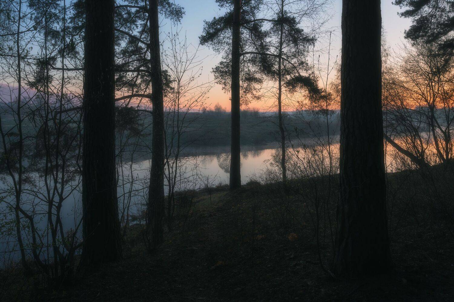 природа, весна, перед рассветом, апрель, московская область, пейзаж, Мартыненко Дмитрий