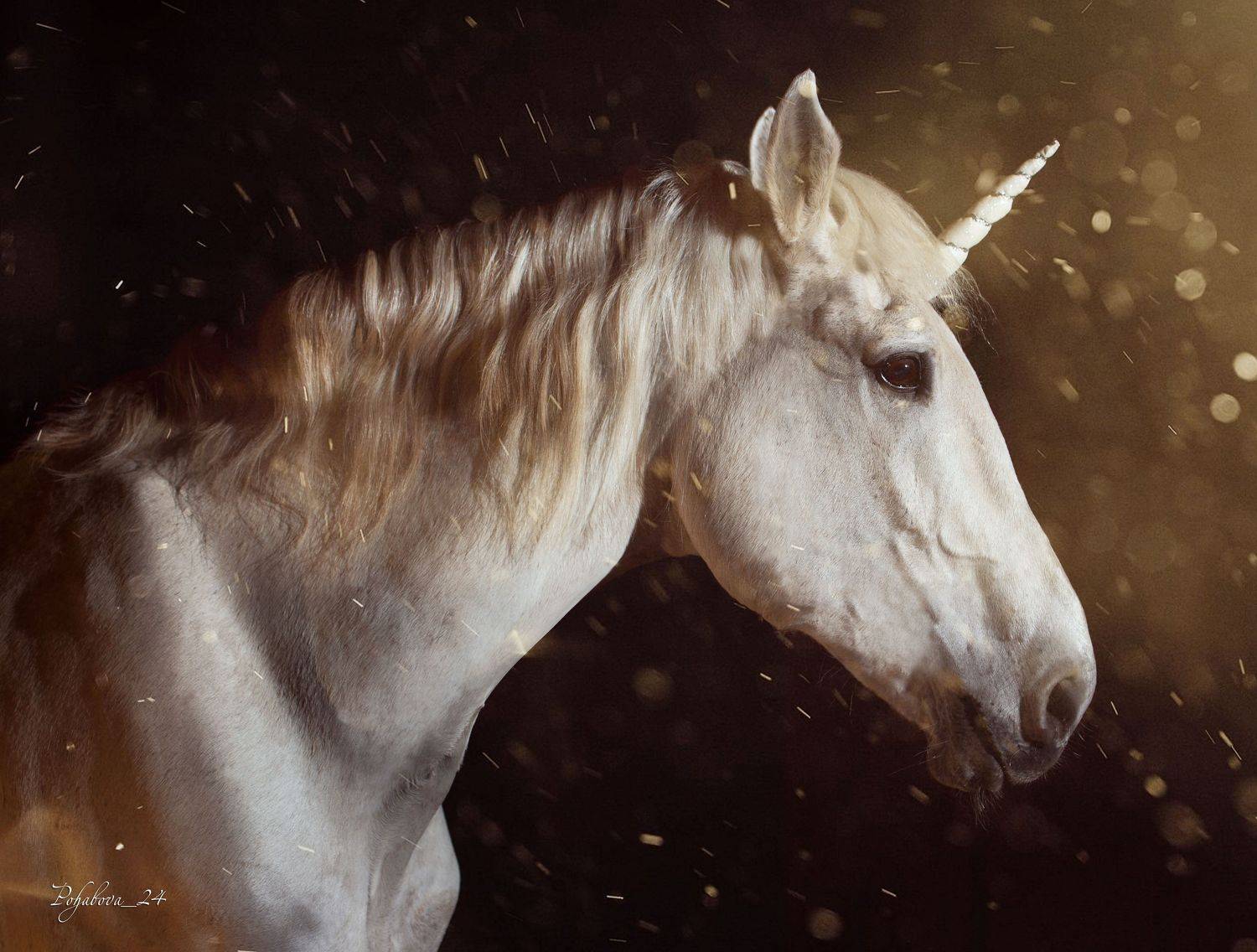 , Похабова Любовь