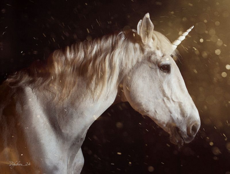 Единорог фото превью