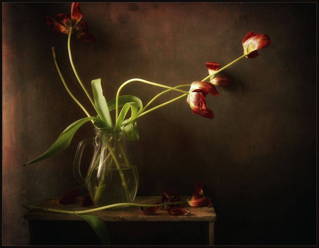 , Хромеев Александр