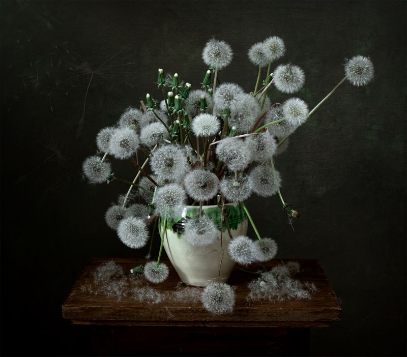 натюрморт, цветы, одуванчики Маленькие пушистики фото превью
