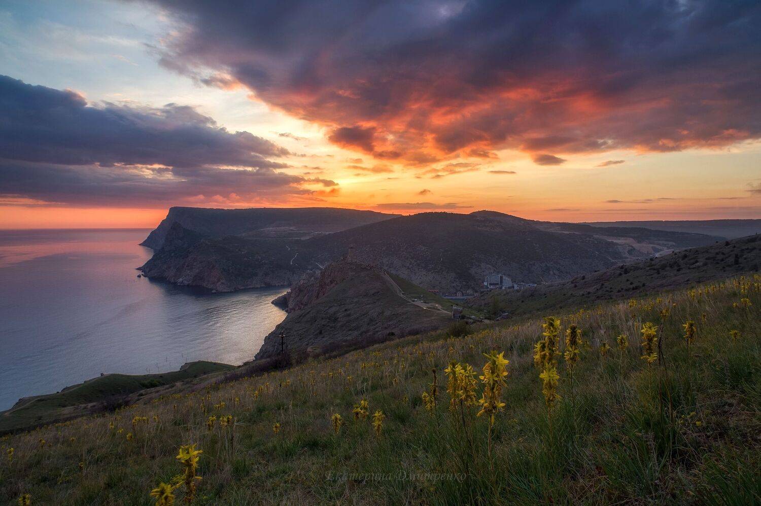 , Дмитренко Екатерина