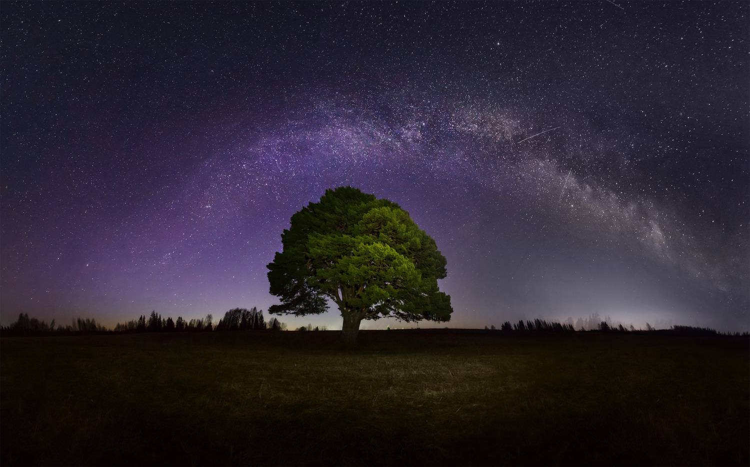 , Vyacheslav Lozhkin