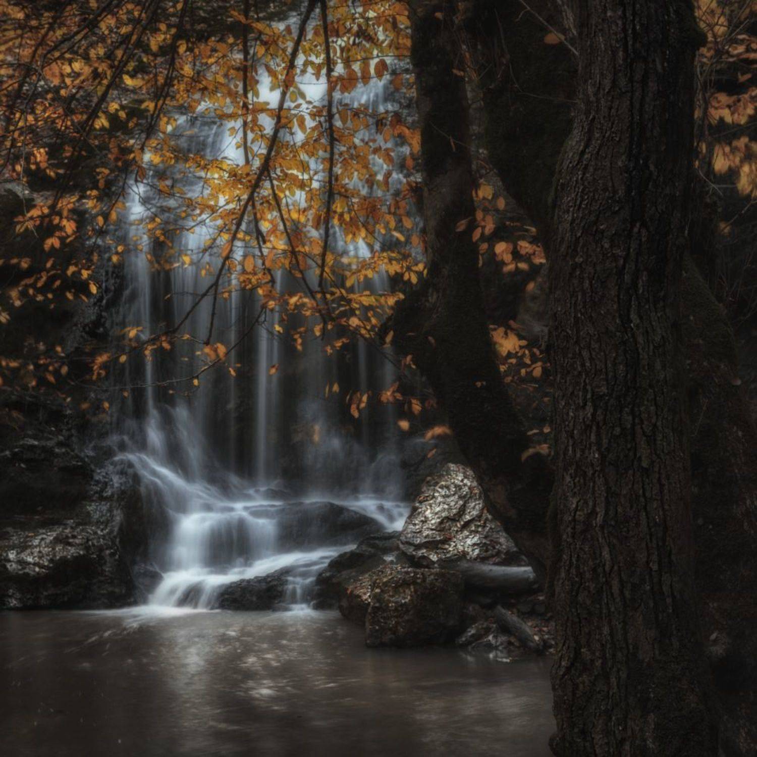 , Олег Дунаев