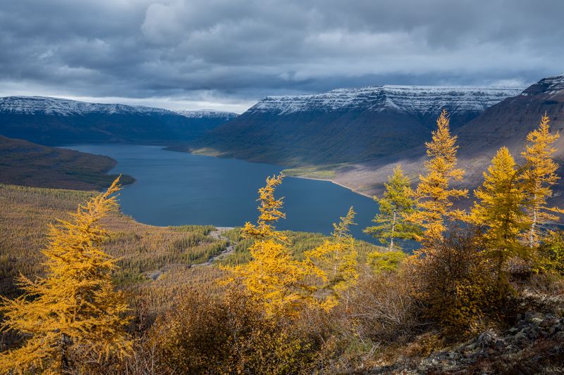 плато путорана, осень, золотая осень, лиственницы, озеро, горы, тучи, облака Плато Путорана фото превью