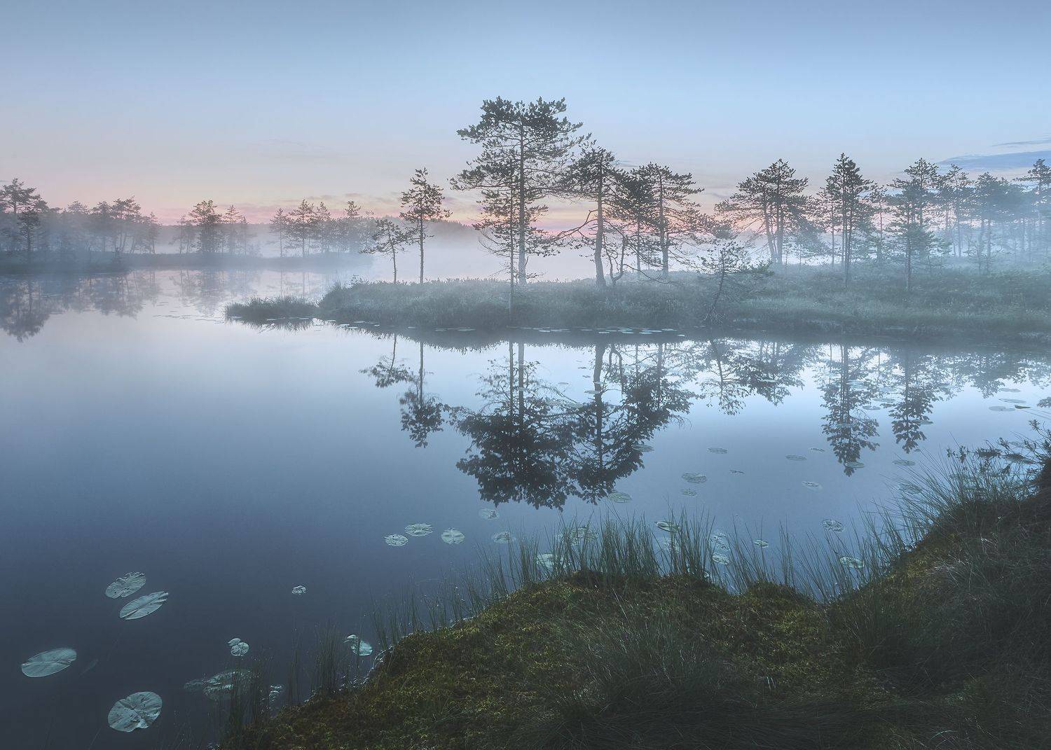 , Кононов Антон