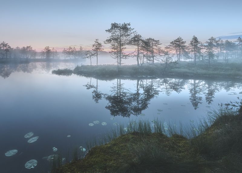 Утро фото превью