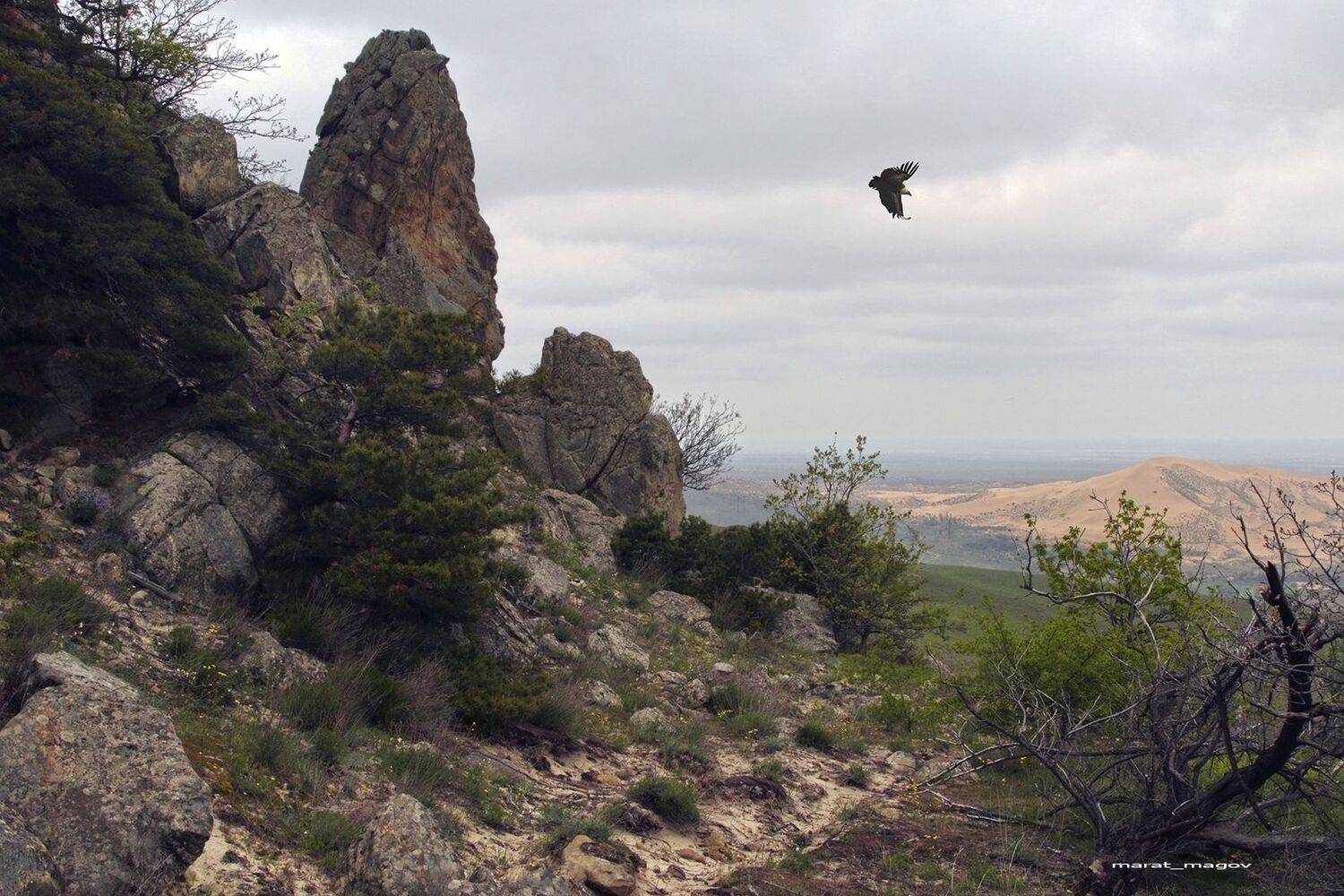 горы,пейзаж,природа,дагестан,marat_magov,сары кум,, Magov Marat