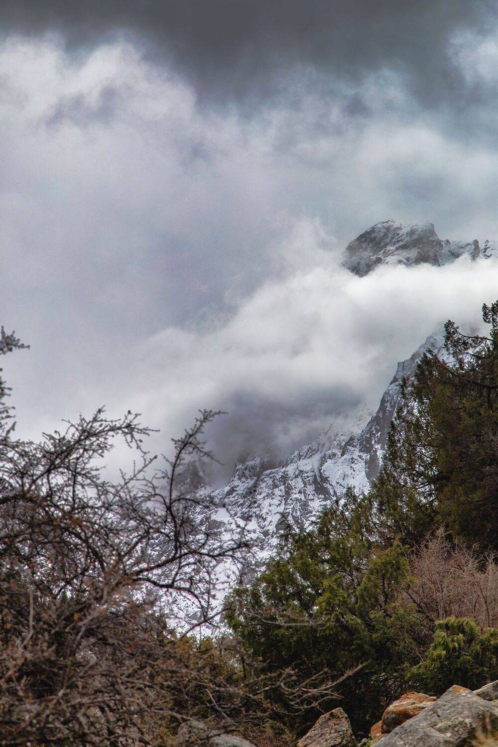 кыргызстан, иссык-ата, пик ботвей, Элина Магалимова