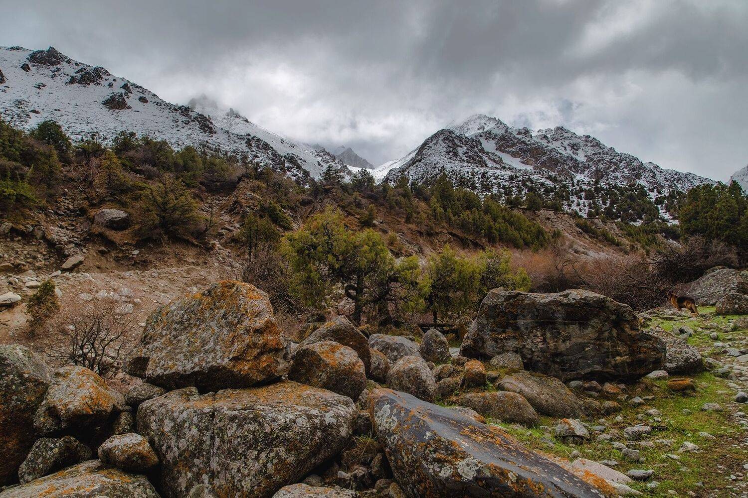 кыргызстан, иссык-ата, Элина Магалимова