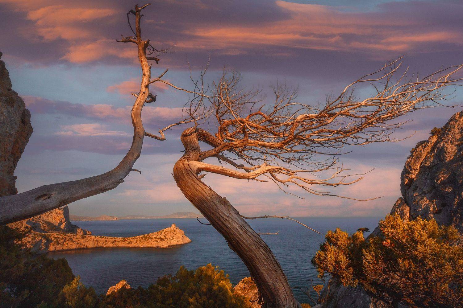 , Костенко Александр