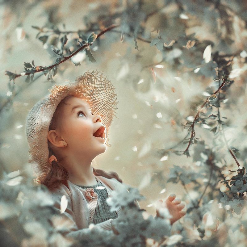 *** фото превью