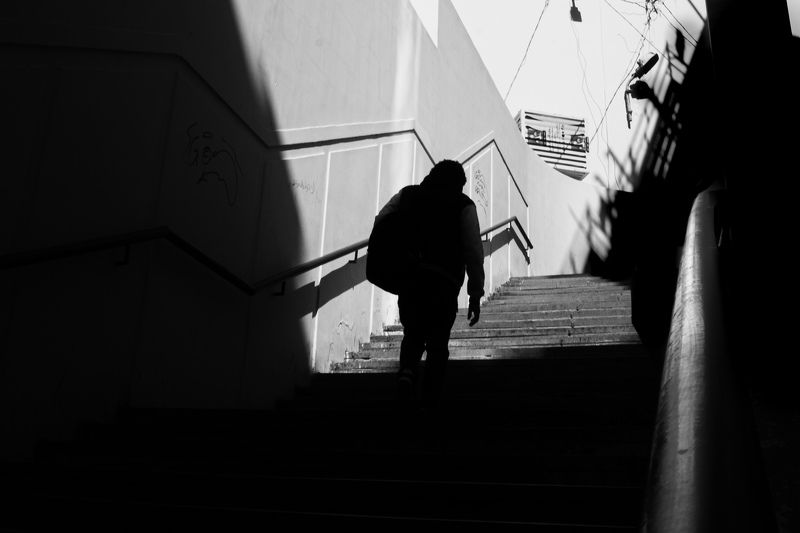 Shad фото превью