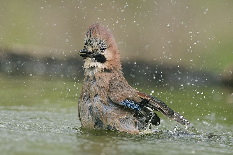В ванной фото превью