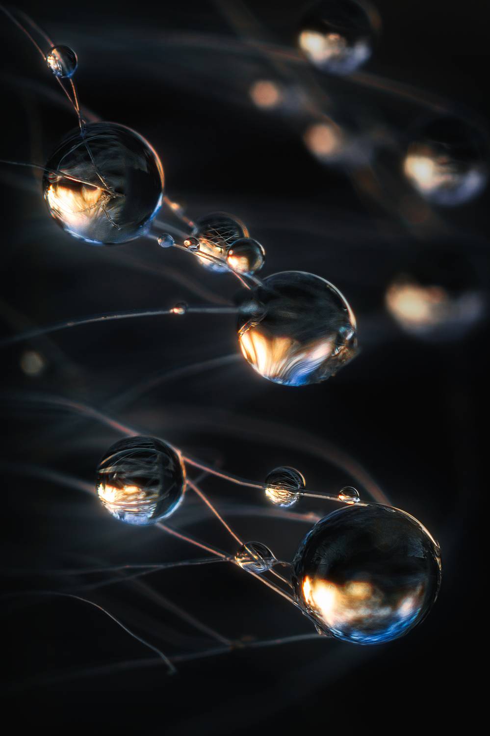 вода капли свет цвет арт фотография макро, Еремеев Дмитрий