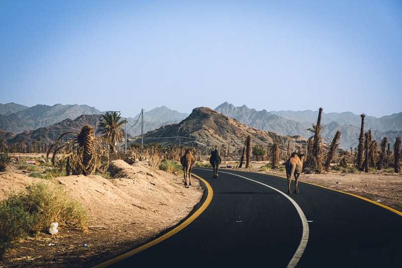 Ivan Mamalyha\'s Portfolio фото превью