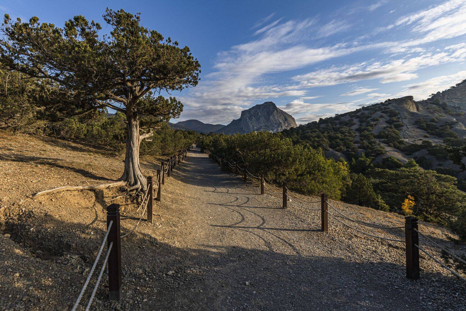 Крым, Новый Свет, Сергей