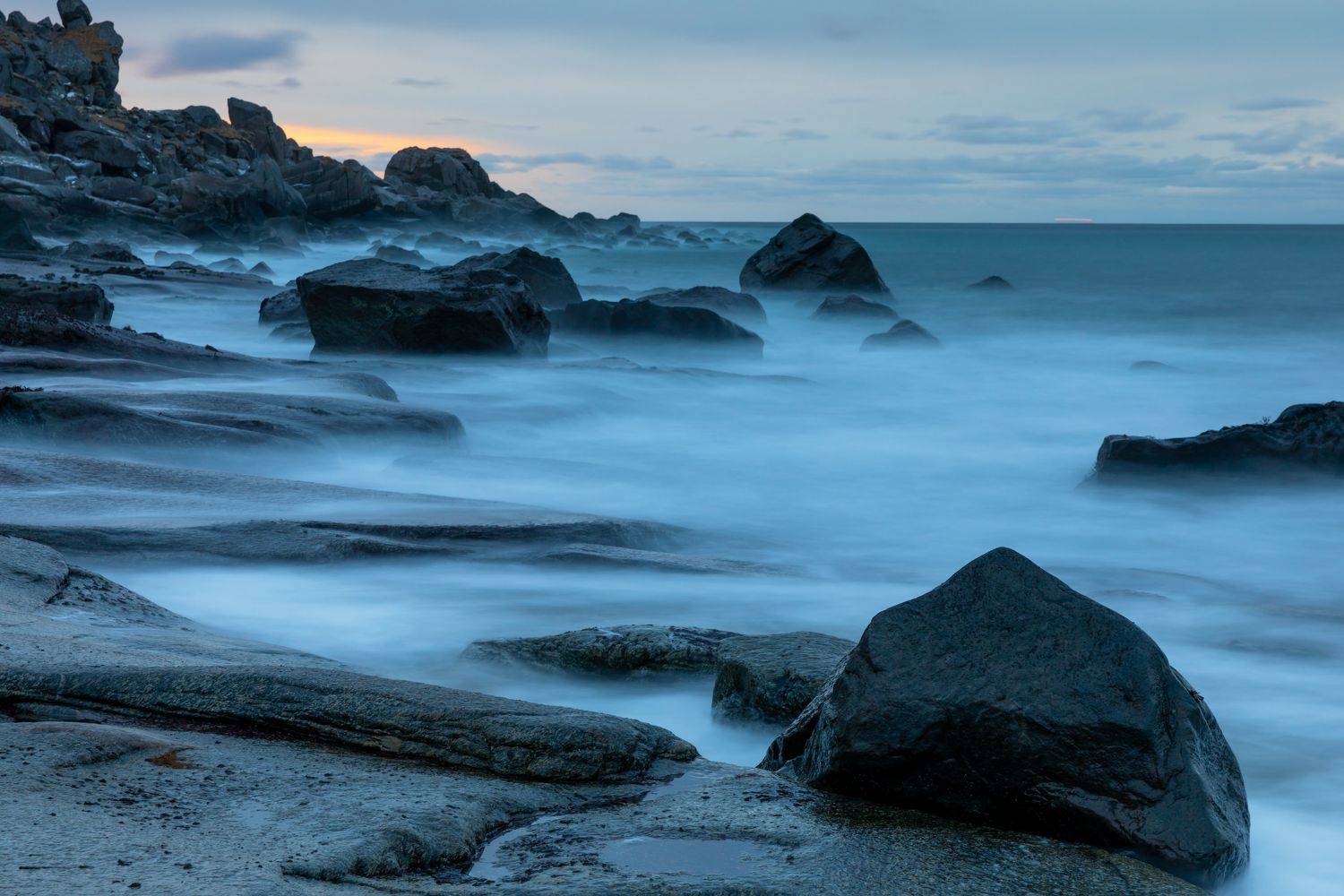 , Евгения Чех