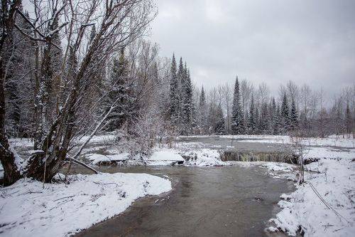 26 апреля - весна в Сибири..!
