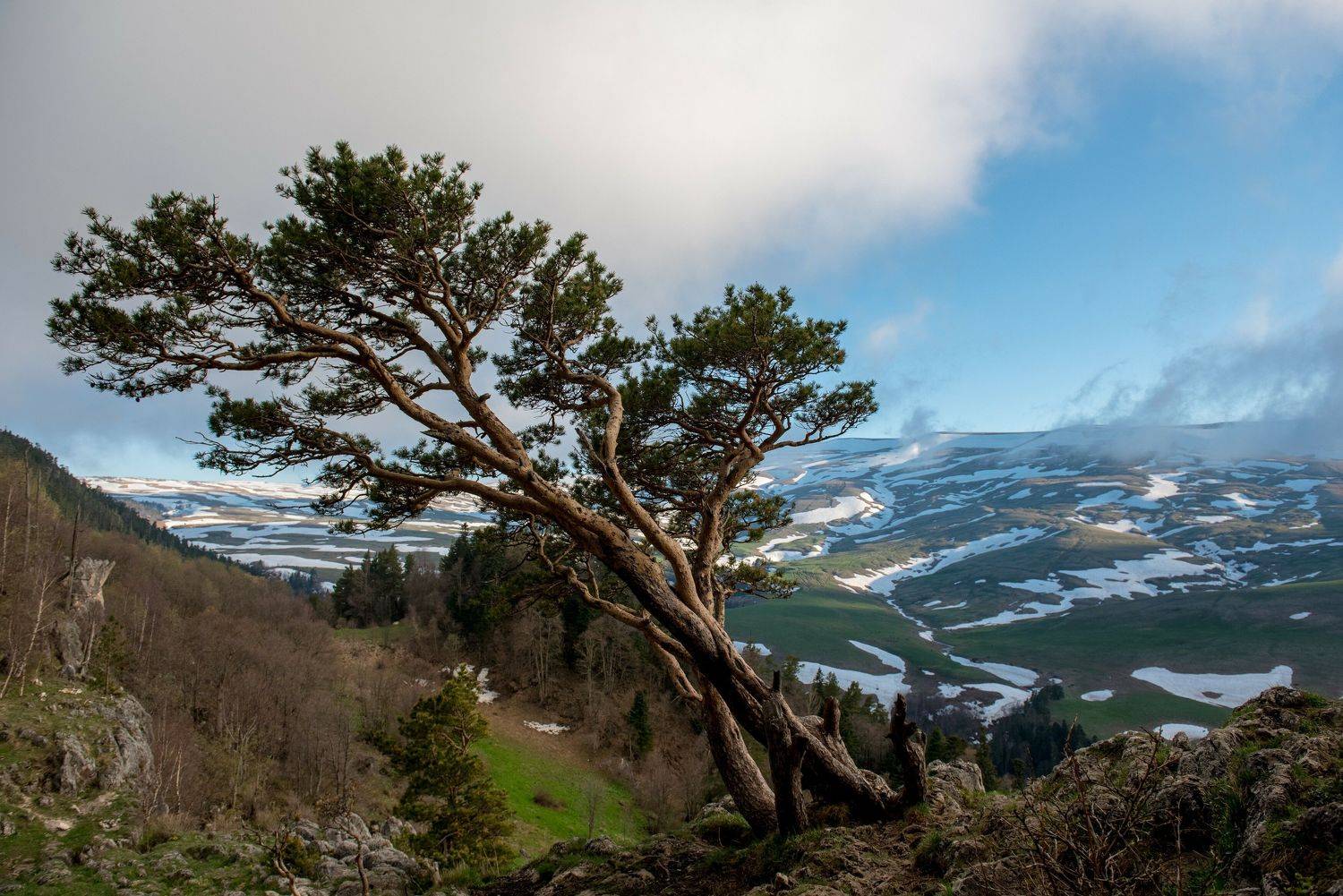, Дмитрий Величко