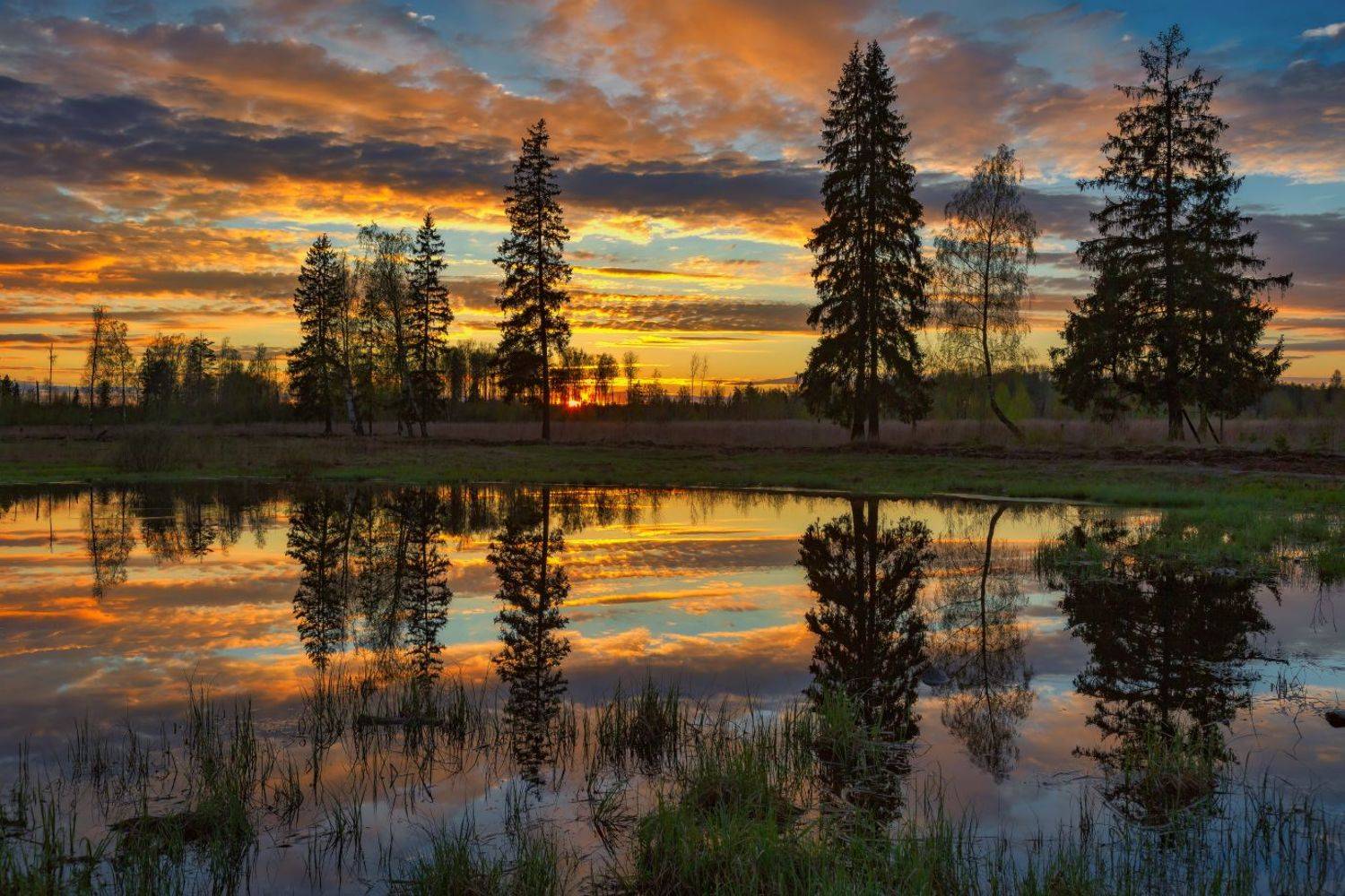 , Евгений Ерохин