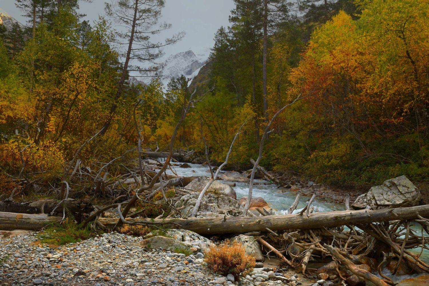 горы осень узункол, Александр Жарников
