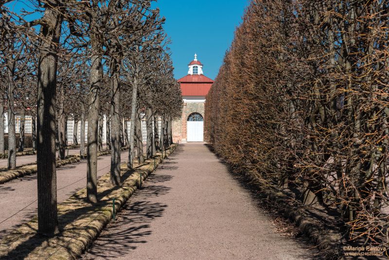 город, архитектура, петергоф, дворец монплезир, монплезирский сад, нижний парк, пригороды санкт-петербурга, геометрия весеннего петергофа, nikon Геометрия весеннего Петергофа фото превью