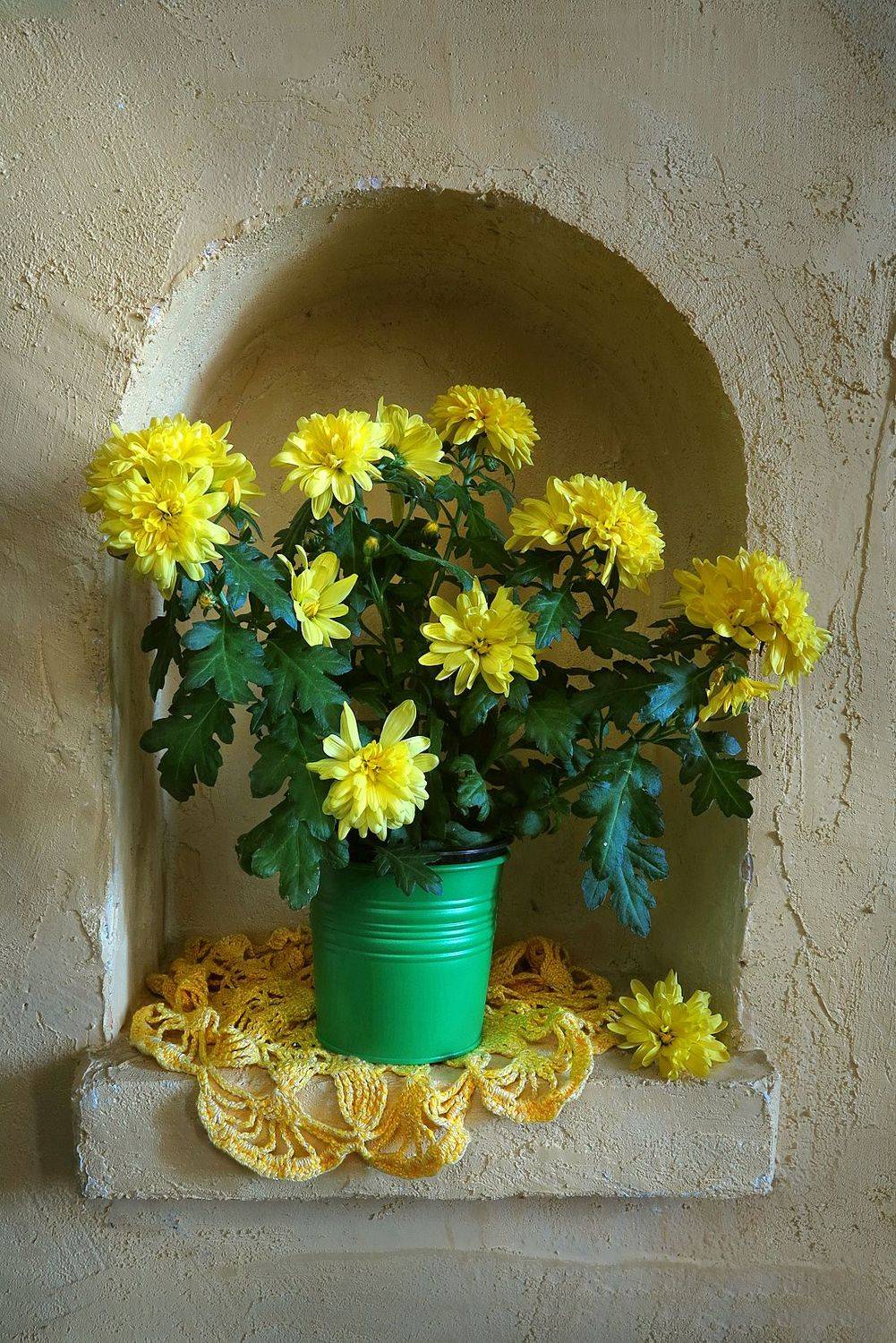 натюрморт,ниша,цветы,салфетка, Алла Шевченко