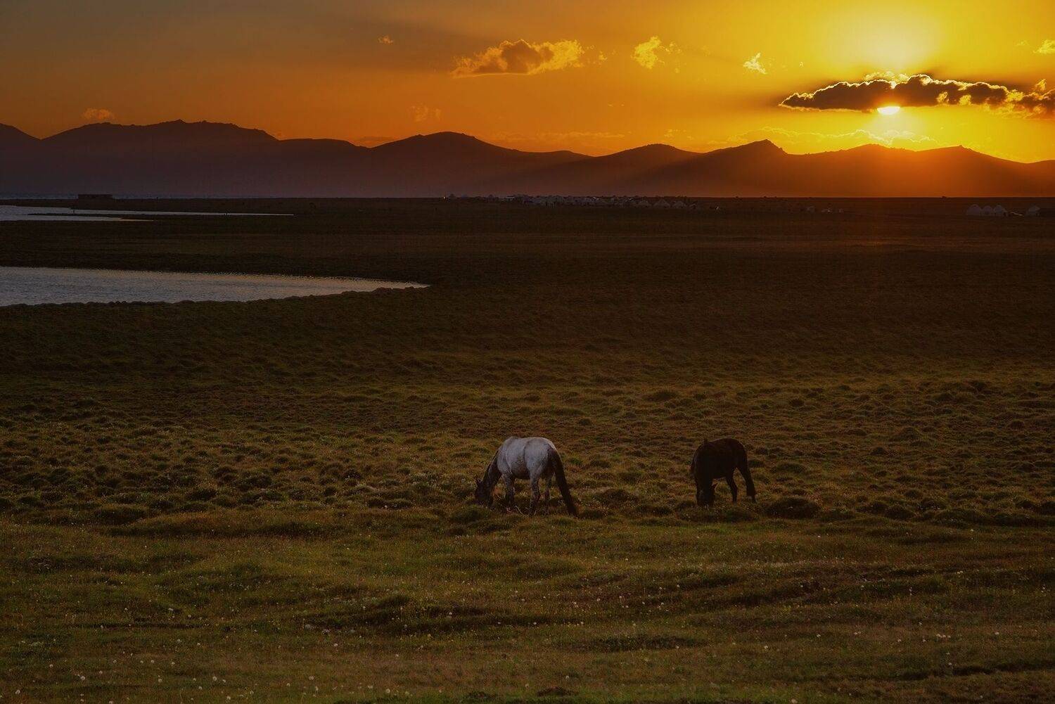 кыргызстан, сон-куль, Элина Магалимова