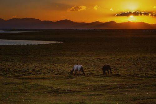 Вечерний релакс