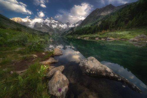 Поперечное