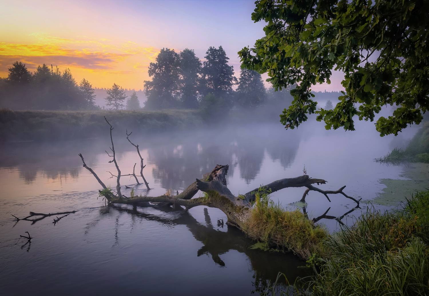 , Александр Гвоздь