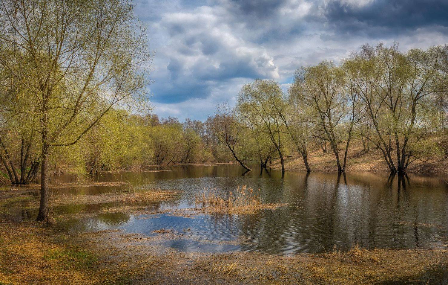 весна, река, половодье, Сергей Аникин