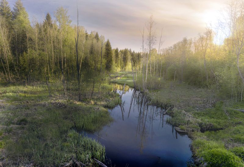 у ручья фото превью