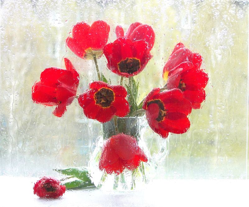 В нашем городе дождь... (Мои первые шаги в освоении Её Величестве Светописи. Снято на беззеркалку -  первую мою  камеру - SONY  DSC-HX1) фото превью