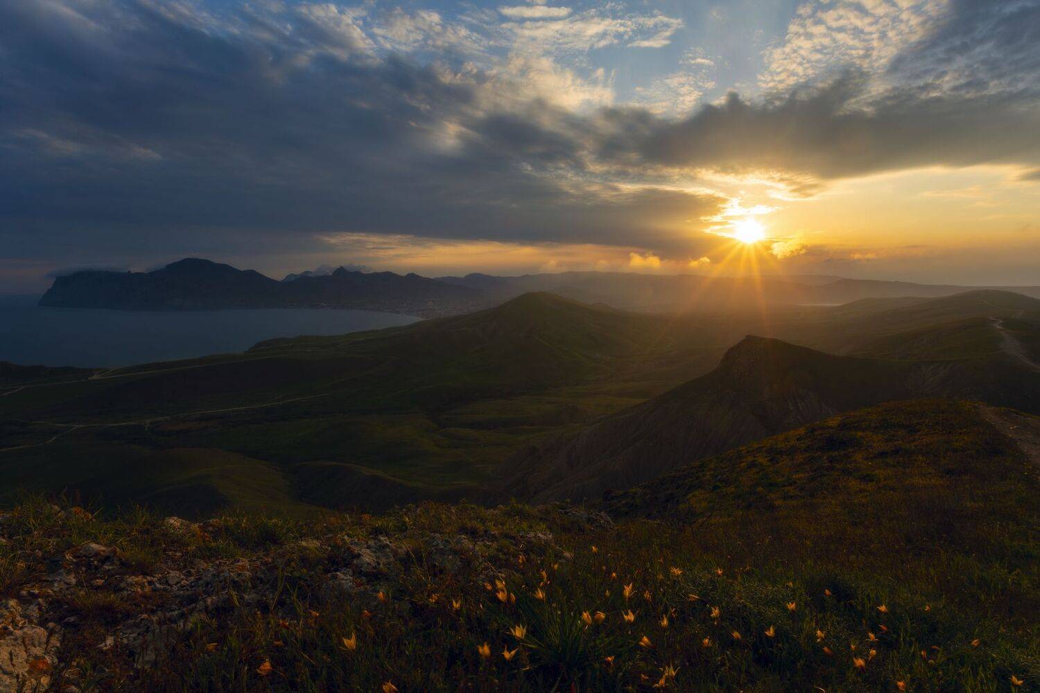 , Юлия Мальцева