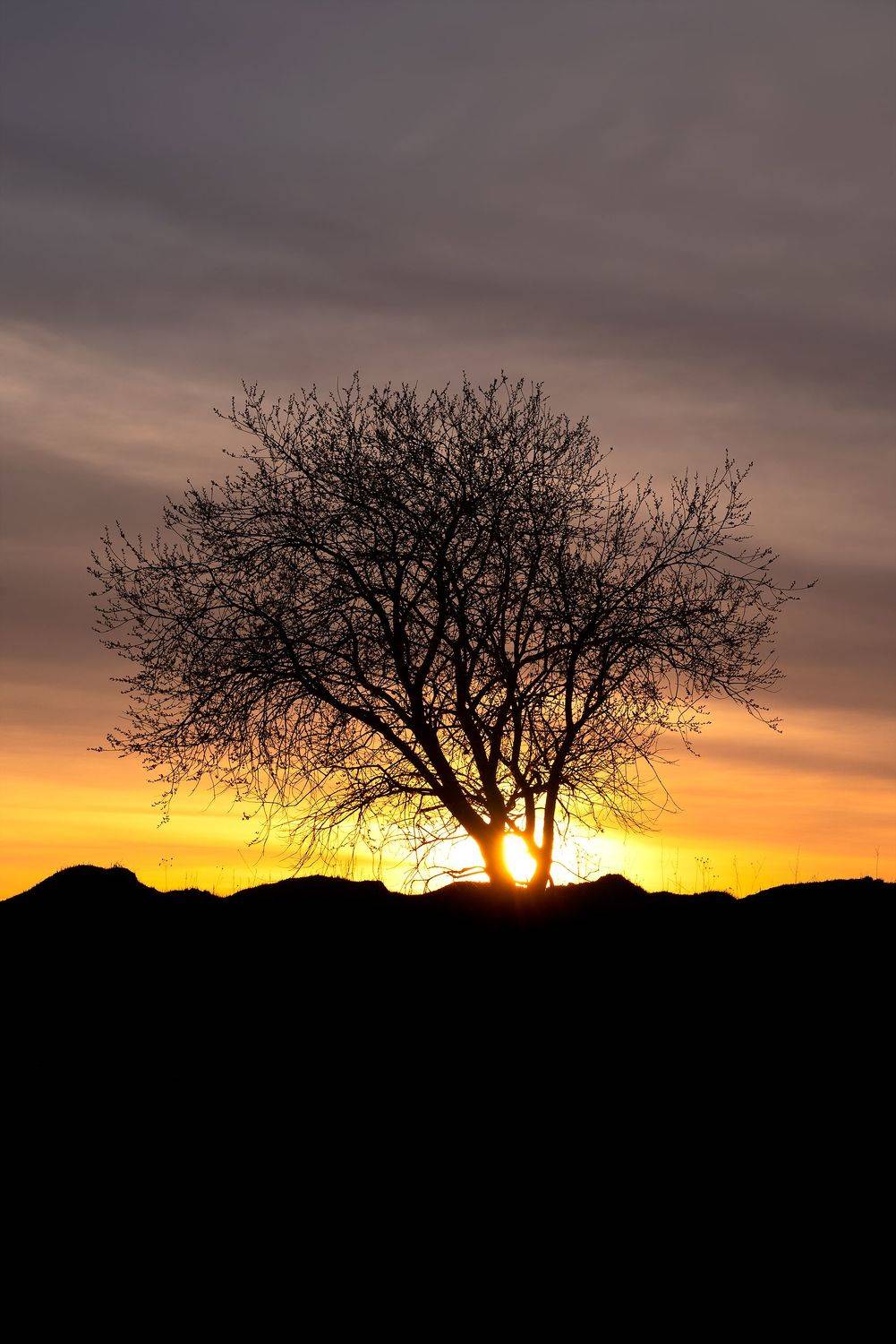 , Стрельцов Виталий