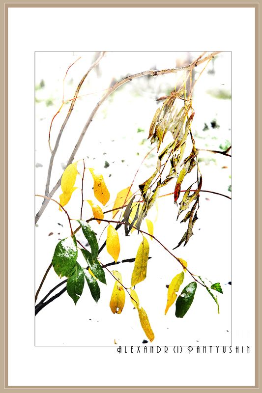 Восточный мотив фото превью