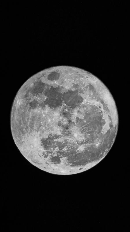 If i get you to the moon фото превью