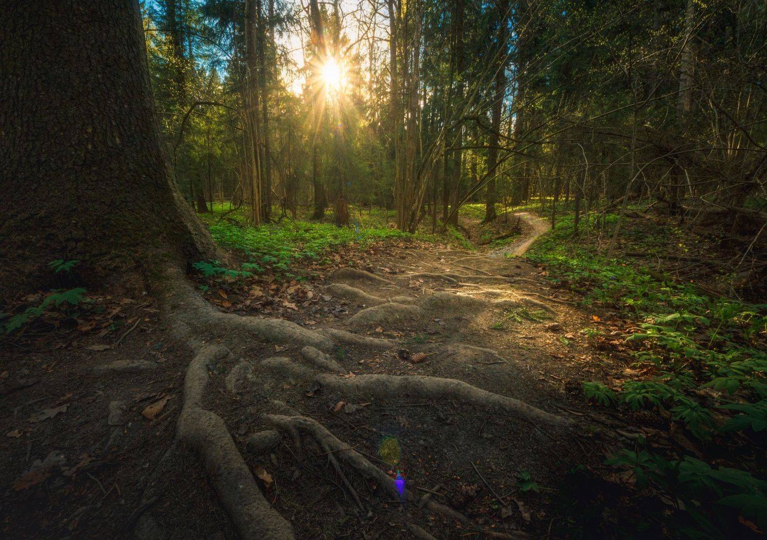 , Котов Андрей