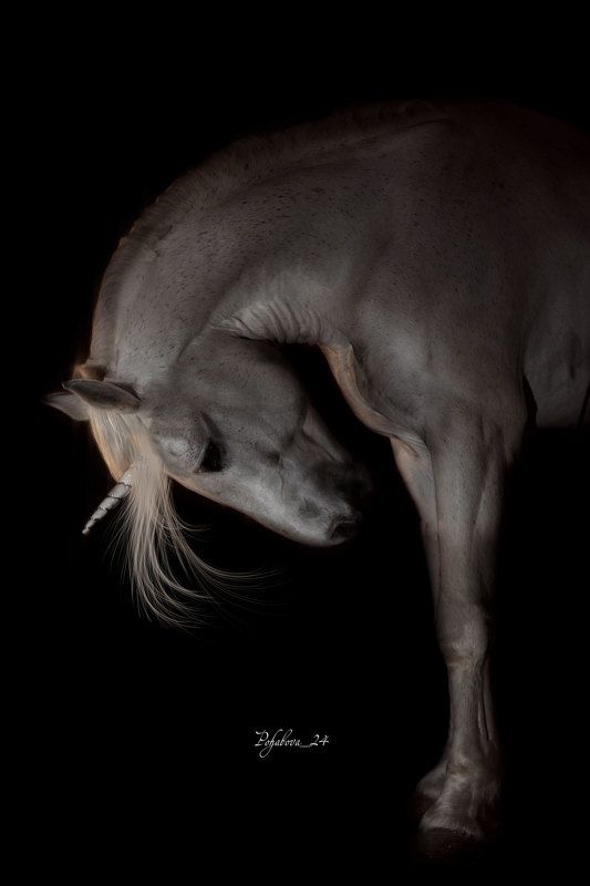 миф фото превью