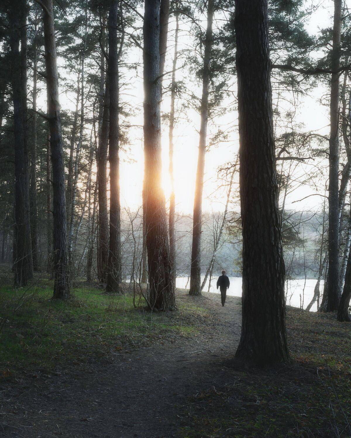 природа, пейзаж, апрель, лес, Московская область, весна, закат, Мартыненко Дмитрий
