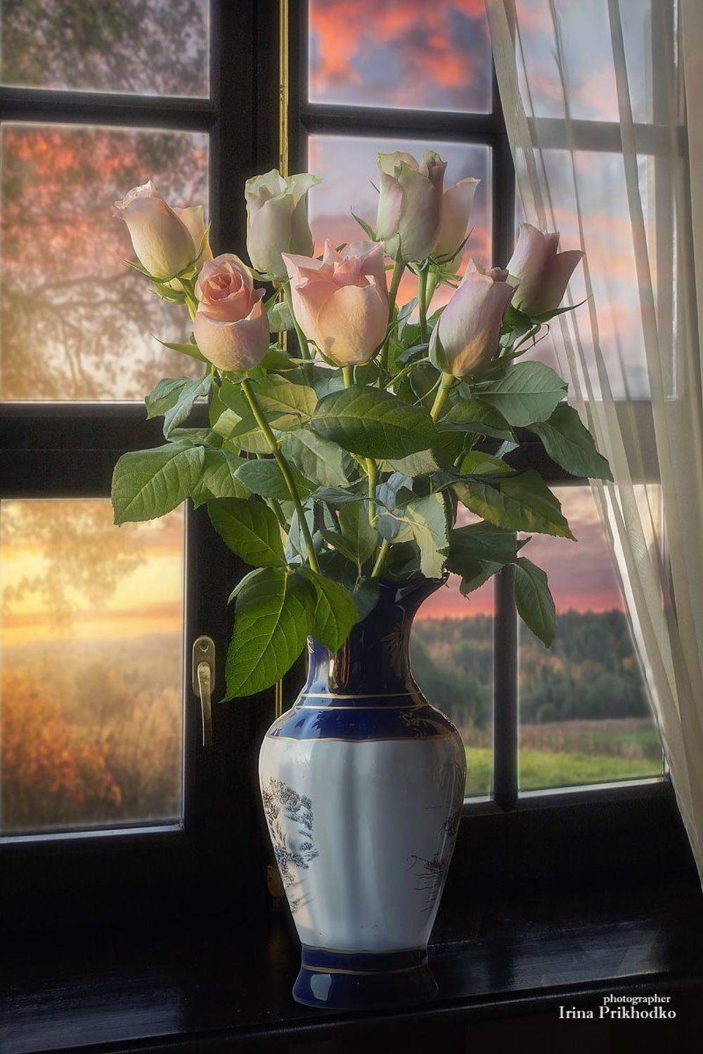 натюрморт, цветы, розы, рассвет, Приходько Ирина