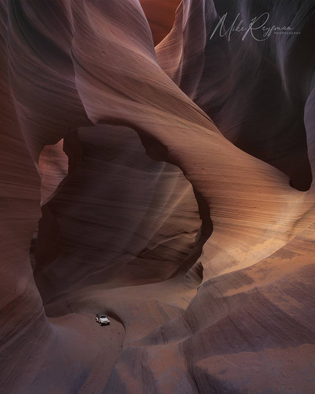 , Майк Рейфман