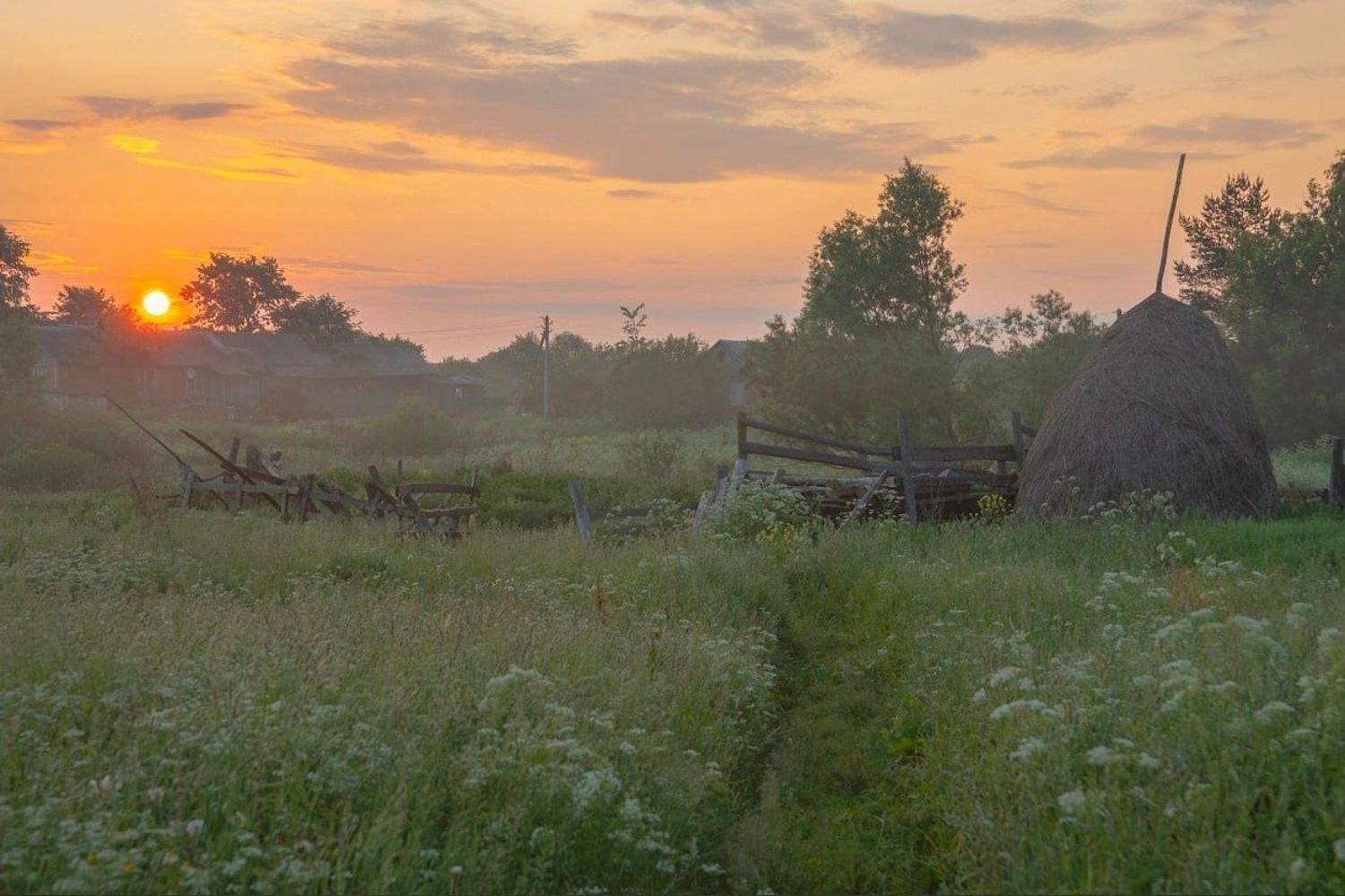 , Петр Косых