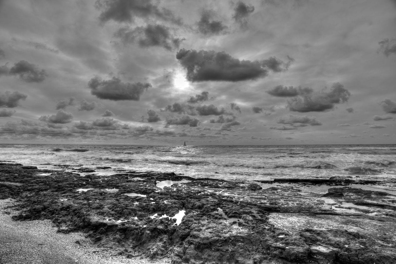 , David Solodar