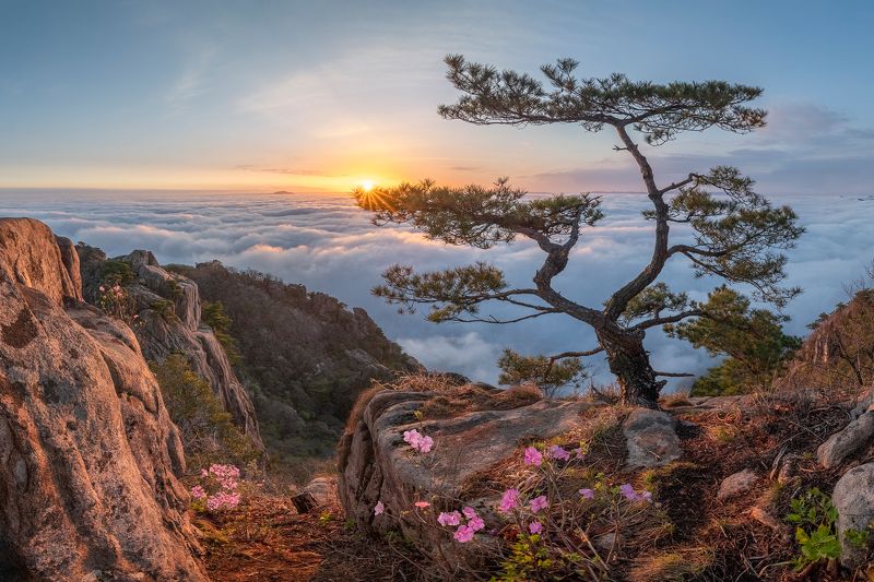 villain фото превью