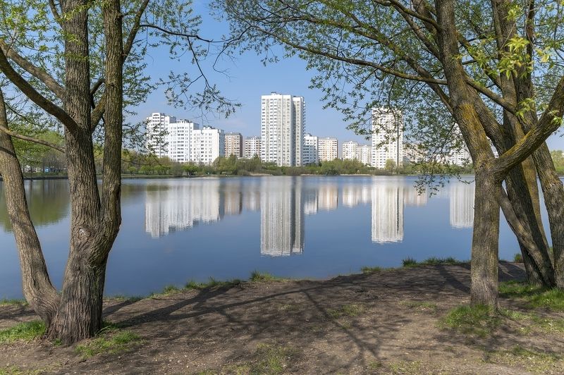 На городском пруду фото превью
