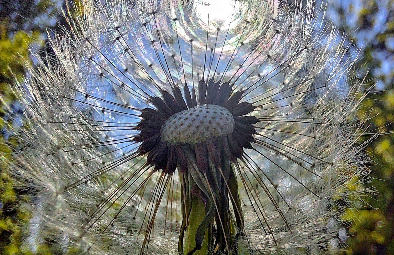 , Сагайдак Павел